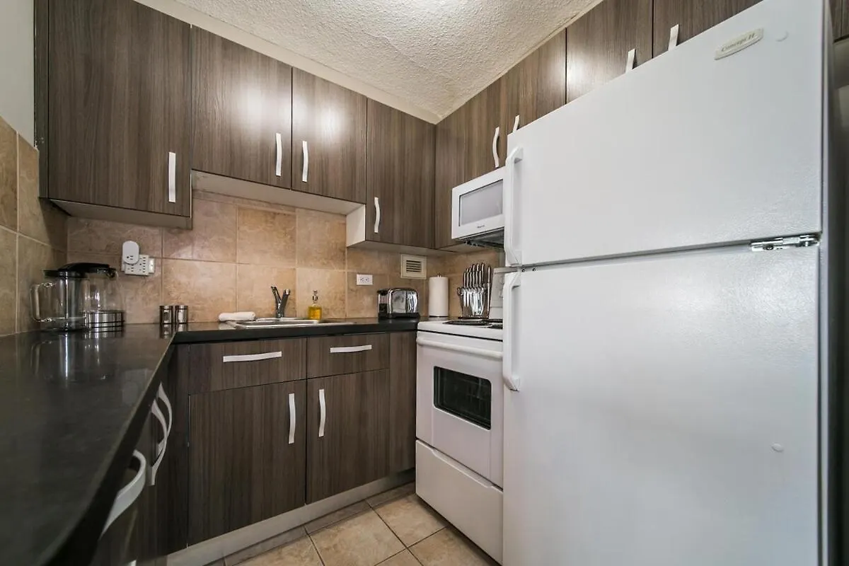 Apartment Roger'S Place King Bed Studio Downtown Edmonton Canada